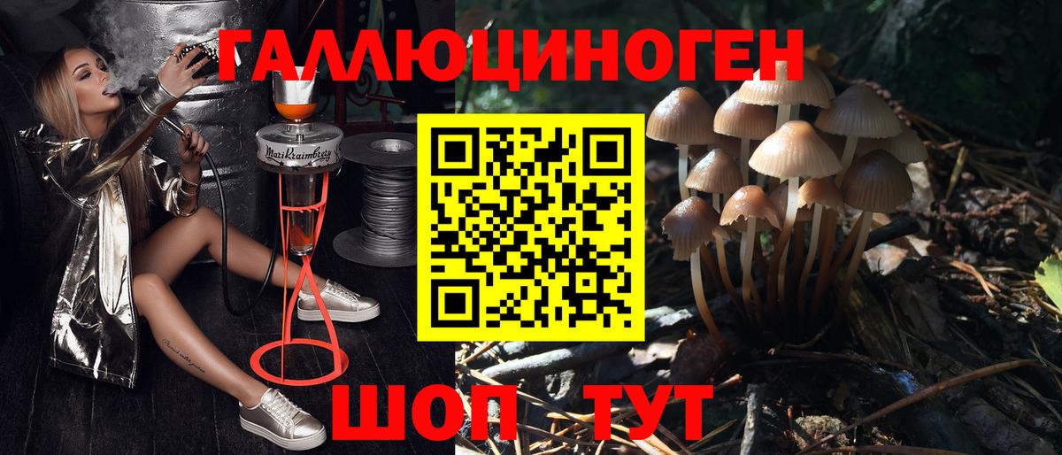Псилоцибиновые грибы Psilocybine cubensis  Вход с VPN  Чусовой 